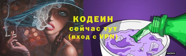 стаф Дмитровск