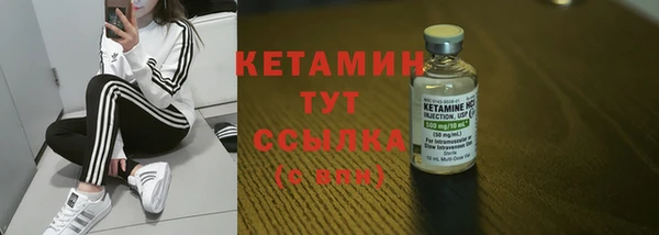 стаф Дмитровск