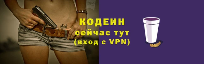 гашик Дмитриев