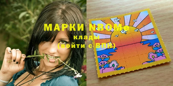 стаф Дмитровск