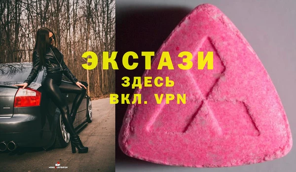 гашик Дмитриев