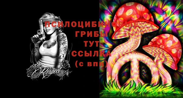 гашик Дмитриев