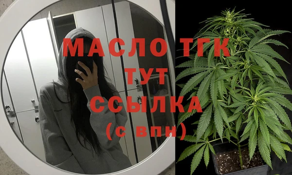 стаф Дмитровск