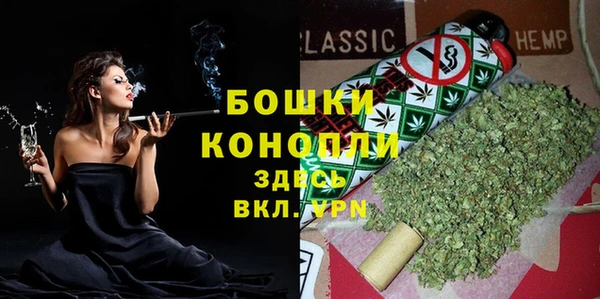 стаф Дмитровск