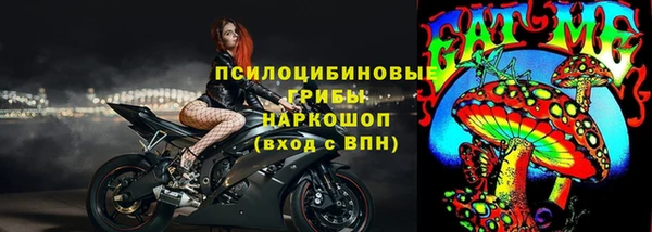 гашик Дмитриев