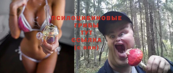 стаф Дмитровск