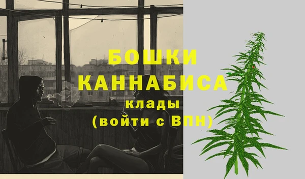стаф Дмитровск