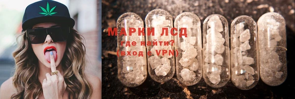 гашик Дмитриев